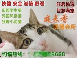 大保健偷拍福利在线,福利还是道德沦丧？