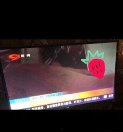 福利按摩店视频在线播放,福利按摩店视频在线播放带你领略专业按摩艺术