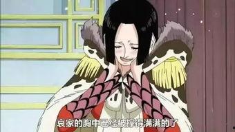 路飞女帝的福利在线观看,在线观看,畅享视觉盛宴